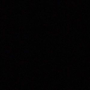 Meet your Posher, Whitney